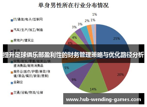 提升足球俱乐部盈利性的财务管理策略与优化路径分析