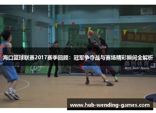 海口篮球联赛2017赛季回顾：冠军争夺战与赛场精彩瞬间全解析