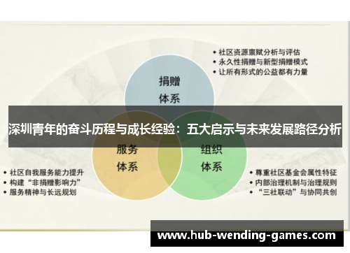 深圳青年的奋斗历程与成长经验：五大启示与未来发展路径分析