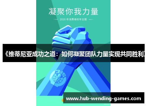 《维蒂尼亚成功之道：如何凝聚团队力量实现共同胜利》