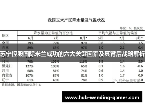 苏宁控股国际米兰成功的六大关键因素及其背后战略解析