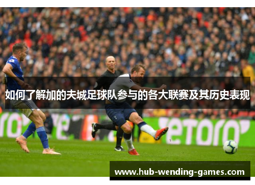 如何了解加的夫城足球队参与的各大联赛及其历史表现 如何了解加的夫城足球队参与的各大联赛及其历史表现